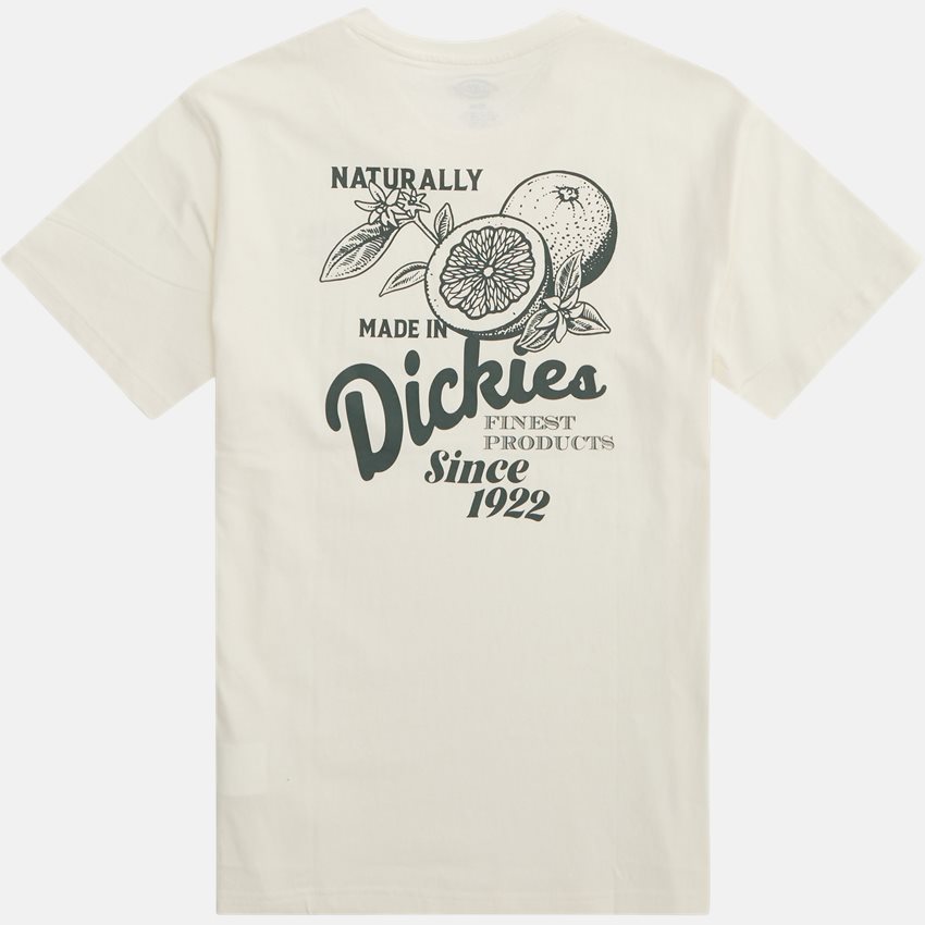 Dickies T-shirts RAVEN TEE DK0A4YYMC58 OFF WHITE